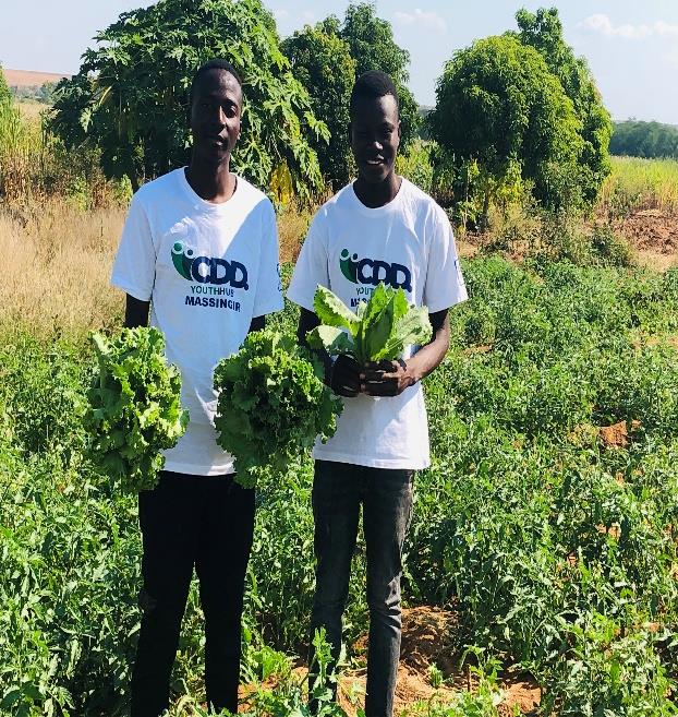 Cooperativa Agrícola Jovens Visionários