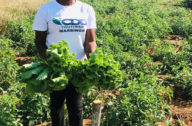 Cooperativa Agrícola Jovens Visionários