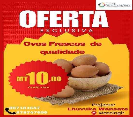 COOPERATIVA LHAYISSA