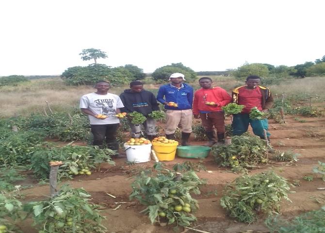 Cooperativa Agrícola Jovens Visionários